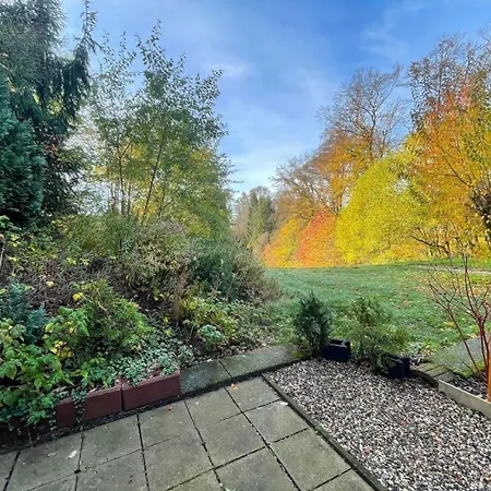 610 Hohegeiß